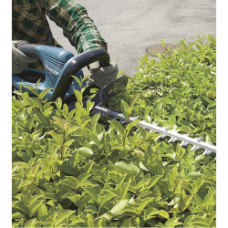 Cortasetos 550W 65cm UH6570 Cortasetos Eléctricos